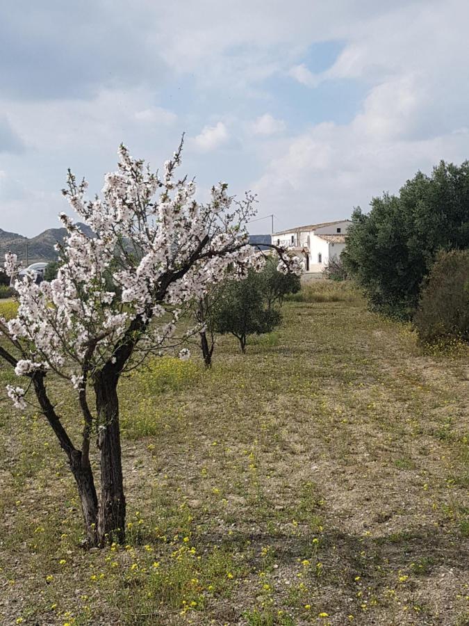 Cortijo Esperanza Bed & Breakfast Huercal-Overa Exterior photo