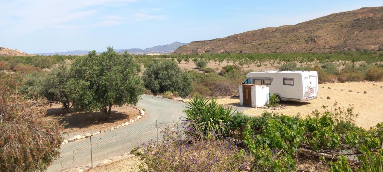 Cortijo Esperanza Bed & Breakfast Huercal-Overa Exterior photo